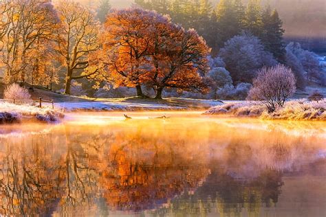 Reflection Autumn Lake Tree Hd Wallpaper Pxfuel