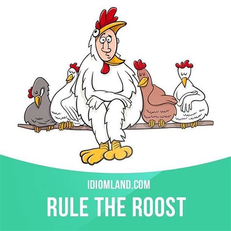Rule The Roost Means To Be The Person Who Makes All The Decisions In A Group Example Jimmy