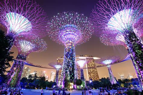 Foto Singapur Gardens By The Bay Park Nacht Städte