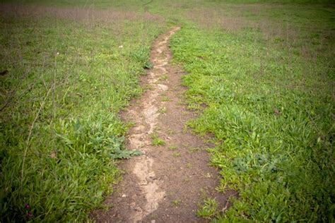 Dirt Path Stock Photo Image Of Nature Road Field Lawn 13050020