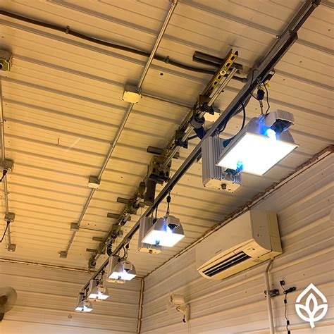 Hanging Grow Lights From Ceiling Shelly Lighting