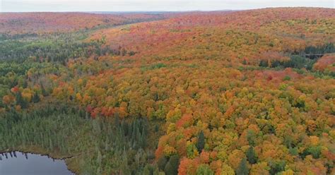 Dnr Launches Fall Colors Finder Predicts A Good Peaking Season Ahead
