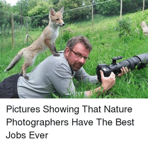 Pictures Showing That Nature Photographers Have The Best Jobs Ever