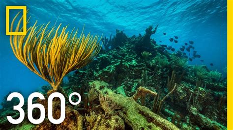 360° Underwater National Park National Geographic Youtube