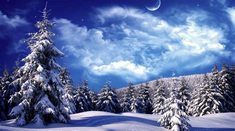 Hd Awesome Winter Wonderland Background Image Hd New
