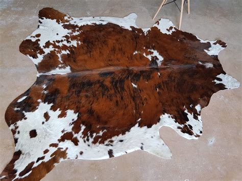 Tricolor Cowhide Rug Cow Hide Rugs On Sale Etsy