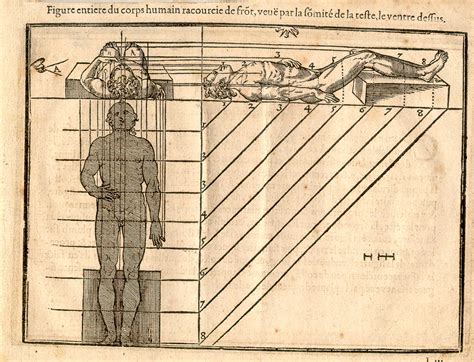 JF Ptak Science Books An Interesting 3 Section Perspective 1560