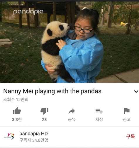 Netizens Show Numerous Instances Of Celebrities With Baby Pandas And
