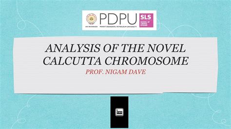 analysis of the novel calcutta chromosome youtube