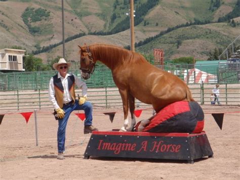 111 Best Horses Liberty And Tricks Images On Pinterest Horse Training
