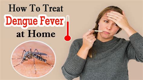 how to treat dengue fever naturally at home home remedies for dengue fever treatment youtube