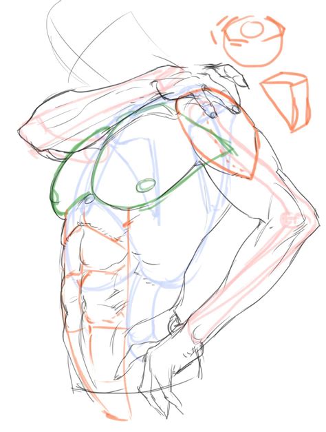 Best Image Anatomy Sketches Art Reference Drawing Poses