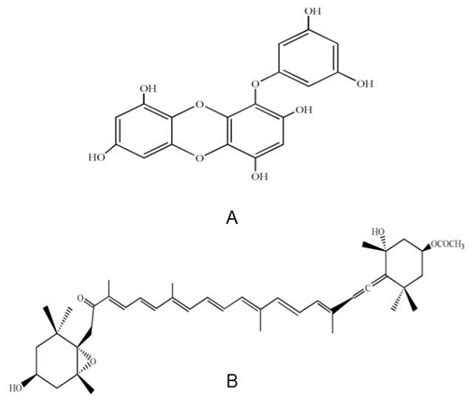Gambar 4 Struktur Kimia Phlorotannin Eckol Azam Et Al 2017 A Dan