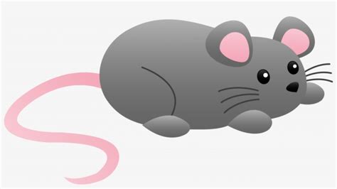 Awesome Images Of Cartoon Mice Clipart Little Gray Mouse Clipart