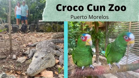Croco Cun Zoo In Puerto Morelos Cancun By Darty Adventures Youtube