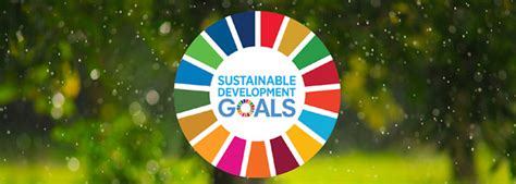 Mackay Regional Council United Nations Sustainable Development Goals