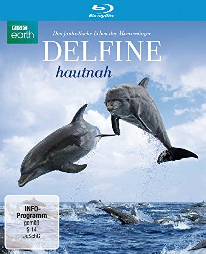 Delfine Hautnah News Termine Streams Auf Tv Wunschliste