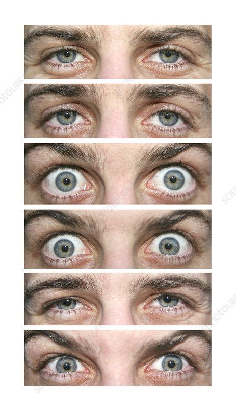 Four Different Pictures Of The Same Persons Eyes