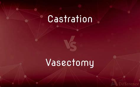 Castration Vs Vasectomy Whats The Difference