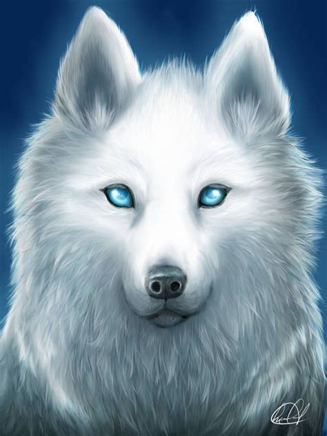 White Spirit Wolf By Kyo Chan12 On Deviantart White Spirit Wolf