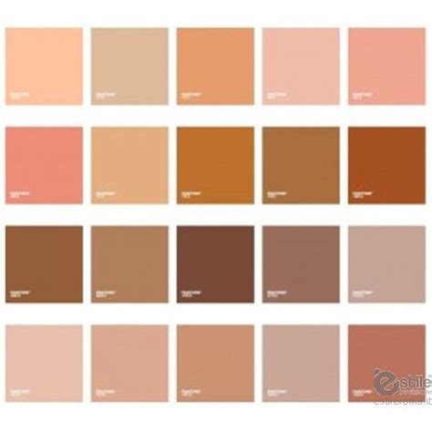 Pantone Skin Tone Guide Skin Color Palette Colors For Skin Tone Skin Color