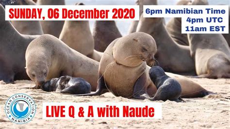 Live Qanda With Naude From Ocean Conservation Namibia On 06 December 2020