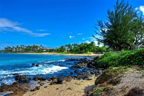 Do You Need A Car In Maui 5 Things To Know