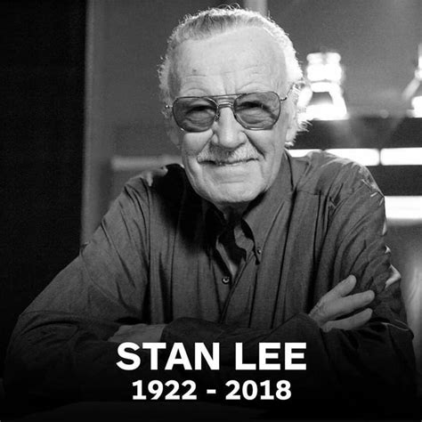 Ripstanlee The Late Stan Lee The Visionary Of Marvel Comics Pochette