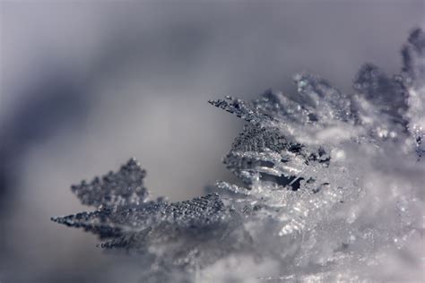 Premium Photo Real Frozen Ice Crystals In Different Formations