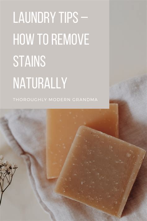 Laundry Tips How To Remove Stains Naturally Stain Remover
