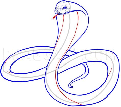 How To Draw A King Cobra Step By Step Drawing Guide By Dawn
