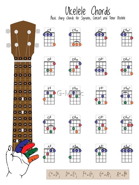 Ukulele Chords Chart Fingering Diagram For Beginners Poster By G