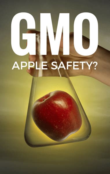 Dr Oz Gmo Non Browning Arctic Apples Are They Safe