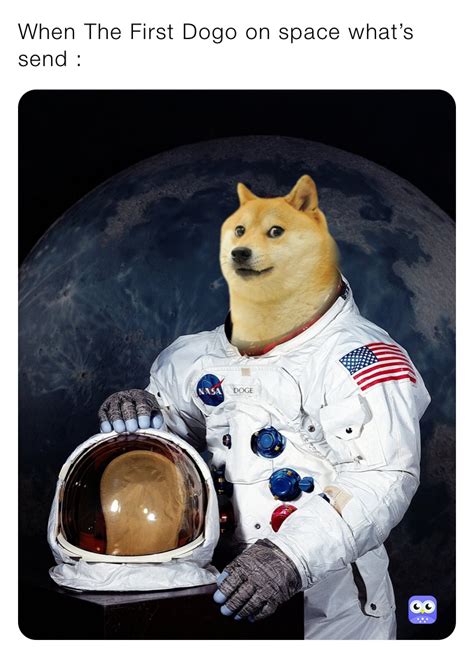 When The First Dogo On Space Whats Send Mrmemer6000 Memes