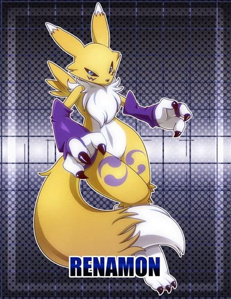 renamon by nancher furry art anime character design anime furry