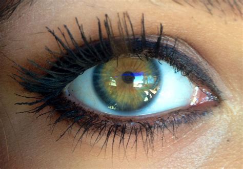 Pin By Lemongrassand Labels On Beautiful Eyes Beautiful Eyes Color