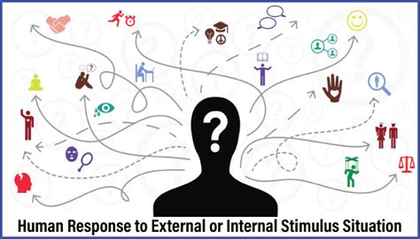Human Behavior Classification Characteristics And Causation Textile