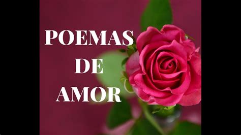 Poemas De Amor Te Amo Youtube