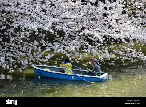 Chidoriga hi-res stock photography and images - Alamy