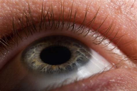 Synthetic Iris Could Let Cameras React To Light Like Our Eyes Do New