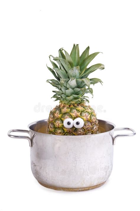 Pineapple In Pot Stock Photo Image Of Fruit Background 16235198