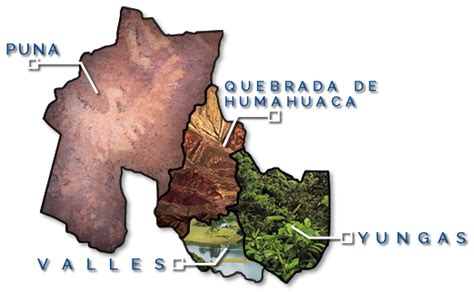 Viva Jujuy La Provincia Y Sus Regiones Jujuy Tipos De Suelo Regiones