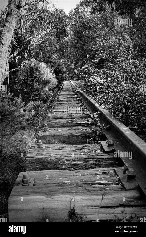 Black And White Railroad Black And White Stock Photos And Images Alamy