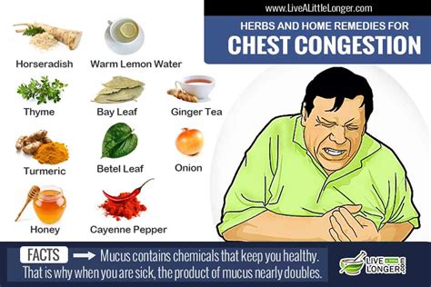 12 Natural Home Remedies For Chest Congestion Relief
