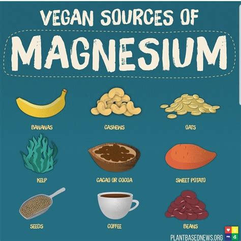 pin by nikayla swenson on food vegan nutrition plant based diet magnesium foods