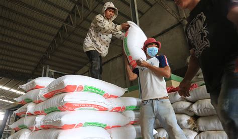 Cambodia Rice Exports Grow Khmer Daily Cambodia News