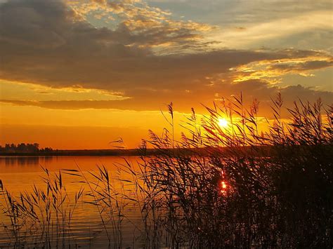 Sunset Lake Boat Cane Reeds 32946 13 Sunset Di Danau Wallpaper Hd