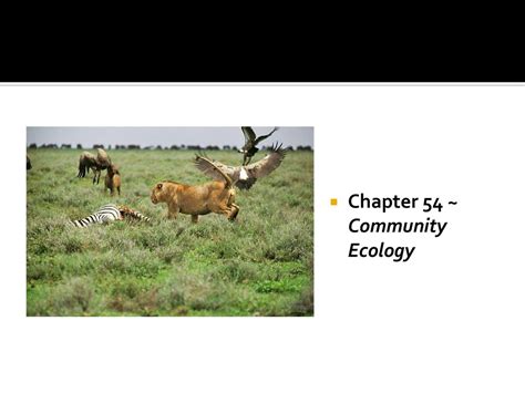 Chapter 54 ~ Community Ecology Ppt Download