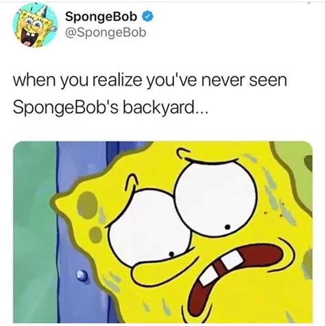 When You Realize Youve Never Seen Spongebobs Backyard Ifunny