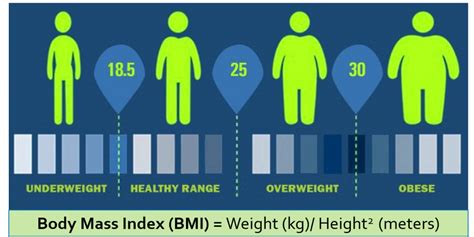 obesity definition bmi chart